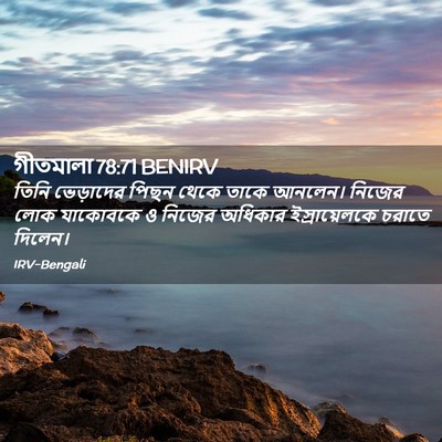 Picture 02 - গীতমালা 78:71 BENIRV - তিনি ভেড়াদের - Bible Verse Picture
