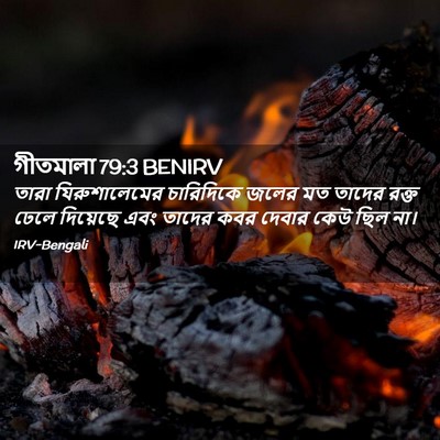 Picture 02 - গীতমালা 79:3 BENIRV - তারা যিরুশালেমের - Bible Verse Picture