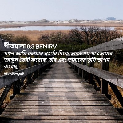 Picture 02 - গীতমালা 8:3 BENIRV - যখন আমি তোমার - Bible Verse Picture