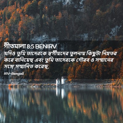 Picture 02 - গীতমালা 8:5 BENIRV - যদিও তুমি তাদেরকে - Bible Verse Picture