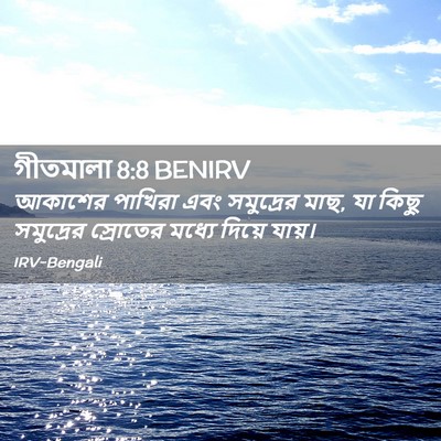 Picture 02 - গীতমালা 8:8 BENIRV - আকাশের পাখিরা এবং - Bible Verse Picture