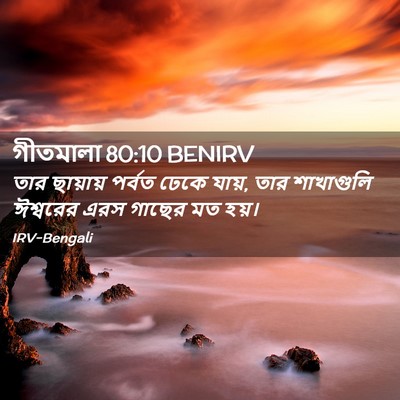 Picture 02 - গীতমালা 80:10 BENIRV - তার ছায়ায় পর্বত - Bible Verse Picture