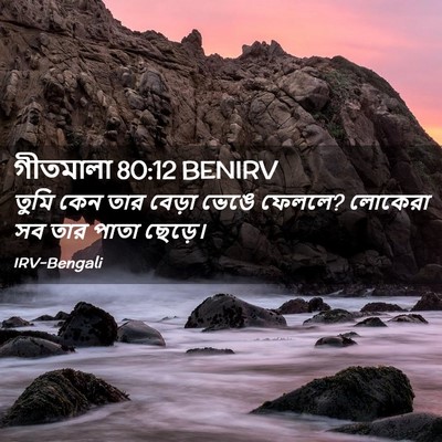 Picture 02 - গীতমালা 80:12 BENIRV - তুমি কেন তার বেড়া - Bible Verse Picture