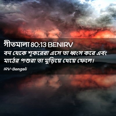 Picture 02 - গীতমালা 80:13 BENIRV - বন থেকে শূকরেরা - Bible Verse Picture