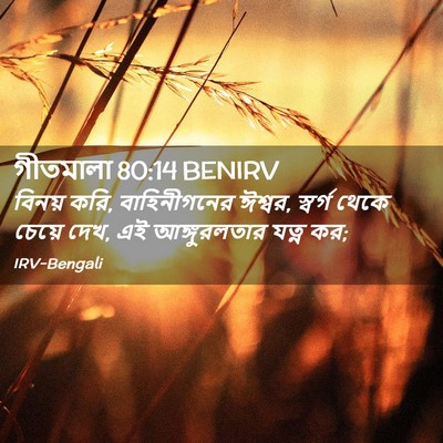 Picture 02 - গীতমালা 80:14 BENIRV - বিনয় করি, - Bible Verse Picture