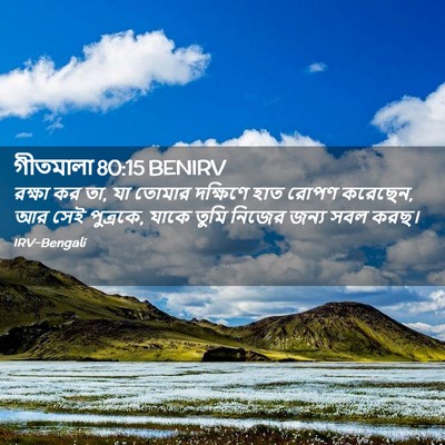 Picture 02 - গীতমালা 80:15 BENIRV - রক্ষা কর তা, যা - Bible Verse Picture
