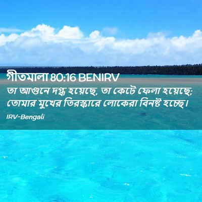 Picture 02 - গীতমালা 80:16 BENIRV - তা আগুনে দগ্ধ - Bible Verse Picture