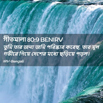 Picture 02 - গীতমালা 80:9 BENIRV - তুমি তার জন্য জমি - Bible Verse Picture