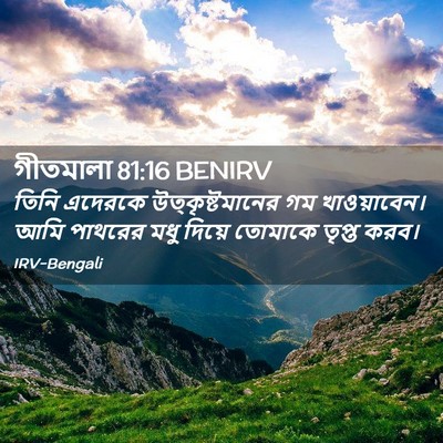 Picture 02 - গীতমালা 81:16 BENIRV - তিনি এদেরকে - Bible Verse Picture