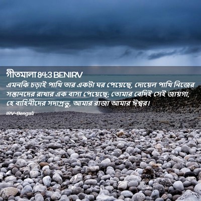 Picture 02 - গীতমালা 84:3 BENIRV - এমনকি চড়াই পাখি - Bible Verse Picture