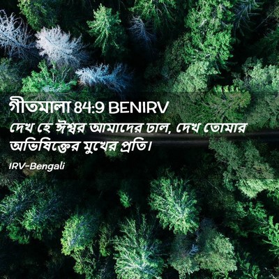 Picture 02 - গীতমালা 84:9 BENIRV - দেখ হে ঈশ্বর - Bible Verse Picture