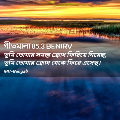 Picture 02 - গীতমালা 85:3 BENIRV - তুমি তোমার সমস্ত - Bible Verse Picture