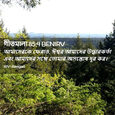 Picture 02 - গীতমালা 85:4 BENIRV - আমাদেরকে ফেরাও, - Bible Verse Picture