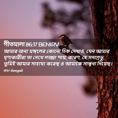 Picture 02 - গীতমালা 86:17 BENIRV - আমার জন্য মঙ্গলের - Bible Verse Picture