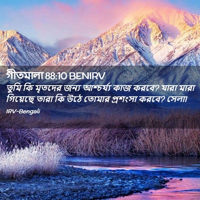Picture 02 - গীতমালা 88:10 BENIRV - তুমি কি মৃতদের - Bible Verse Picture