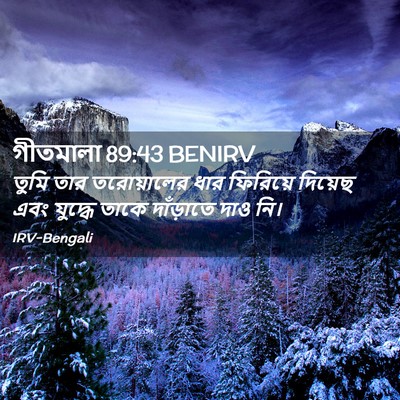 Picture 02 - গীতমালা 89:43 BENIRV - তুমি তার - Bible Verse Picture