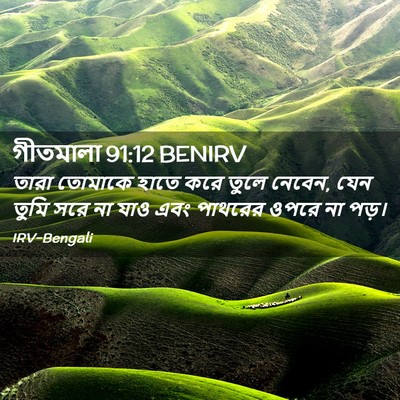 Picture 02 - গীতমালা 91:12 BENIRV - তারা তোমাকে হাতে - Bible Verse Picture