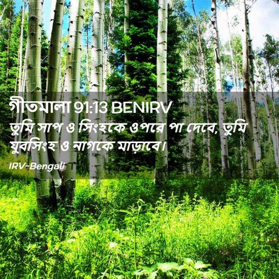 Picture 02 - গীতমালা 91:13 BENIRV - তুমি সাপ ও সিংহকে - Bible Verse Picture