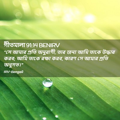 Picture 02 - গীতমালা 91:14 BENIRV - “সে আমার প্রতি - Bible Verse Picture