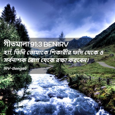 Picture 02 - গীতমালা 91:3 BENIRV - হ্যাঁ, তিনি তোমাকে - Bible Verse Picture