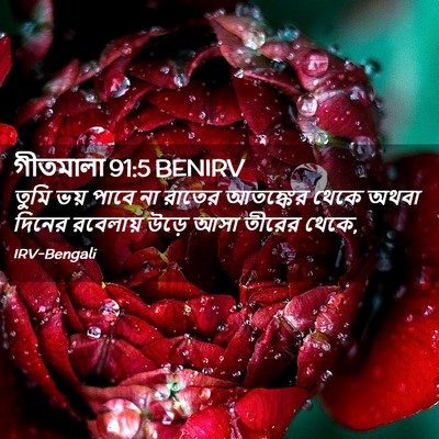 Picture 02 - গীতমালা 91:5 BENIRV - তুমি ভয় পাবে না - Bible Verse Picture