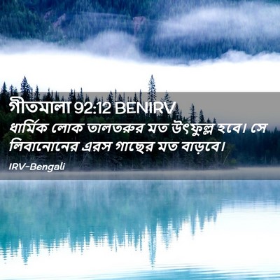 Picture 02 - গীতমালা 92:12 BENIRV - ধার্মিক লোক - Bible Verse Picture