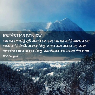 Picture 02 - চফনিয়া 1:13 BENIRV - তাদের সম্পত্তি - Bible Verse Picture