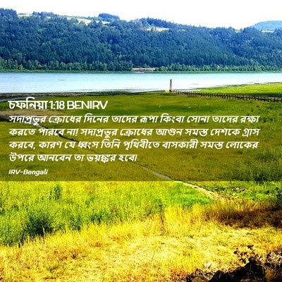 Picture 02 - চফনিয়া 1:18 BENIRV - সদাপ্রভুর ক্রোধের - Bible Verse Picture