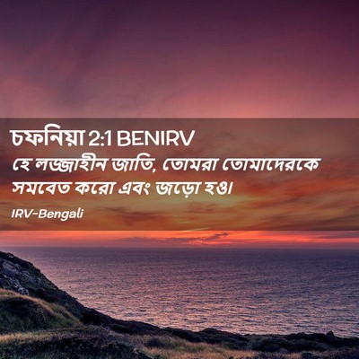 Picture 02 - চফনিয়া 2:1 BENIRV - হে লজ্জাহীন জাতি, - Bible Verse Picture