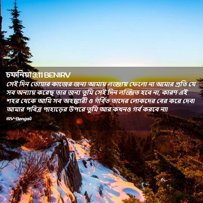 Picture 02 - চফনিয়া 3:11 BENIRV - সেই দিন তোমার - Bible Verse Picture
