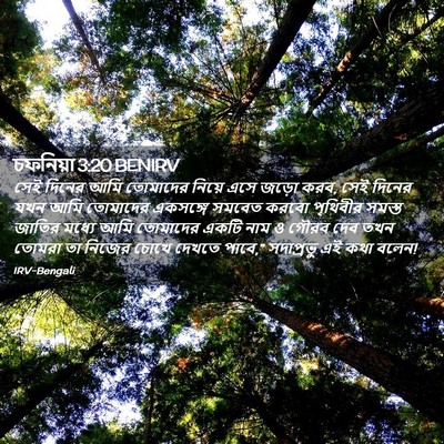 Picture 02 - চফনিয়া 3:20 BENIRV - সেই দিনের আমি - Bible Verse Picture