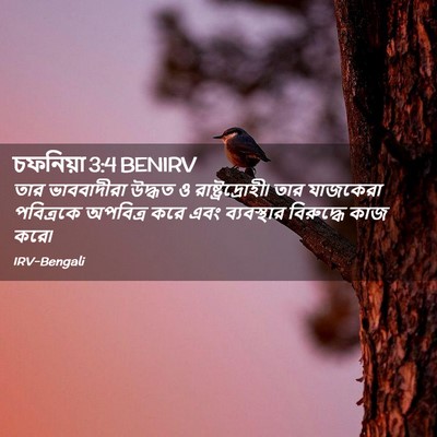 Picture 02 - চফনিয়া 3:4 BENIRV - তার ভাববাদীরা - Bible Verse Picture