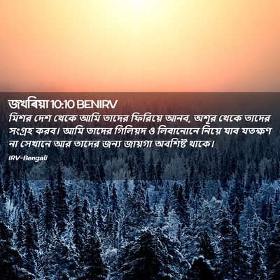 Picture 02 - জখৰিয়া 10:10 BENIRV - মিশর দেশ থেকে আমি - Bible Verse Picture