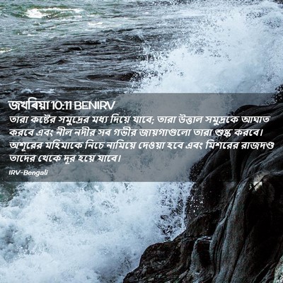 Picture 02 - জখৰিয়া 10:11 BENIRV - তারা কষ্টের - Bible Verse Picture