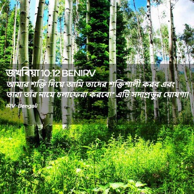 Picture 02 - জখৰিয়া 10:12 BENIRV - আমার শক্তি দিয়ে - Bible Verse Picture