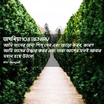 Picture 02 - জখৰিয়া 10:8 BENIRV - আমি তাদের জন্য - Bible Verse Picture