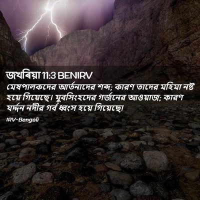 Picture 02 - জখৰিয়া 11:3 BENIRV - মেষপালকদের - Bible Verse Picture