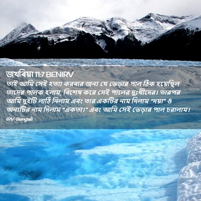 Picture 02 - জখৰিয়া 11:7 BENIRV - তাই আমি সেই হত্যা - Bible Verse Picture
