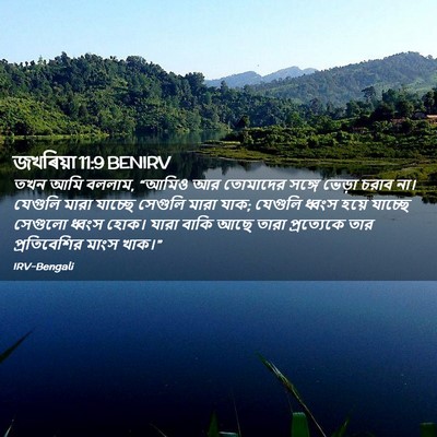 Picture 02 - জখৰিয়া 11:9 BENIRV - তখন আমি বললাম, - Bible Verse Picture