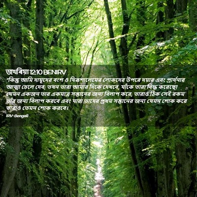 Picture 02 - জখৰিয়া 12:10 BENIRV - “কিন্তু আমি - Bible Verse Picture