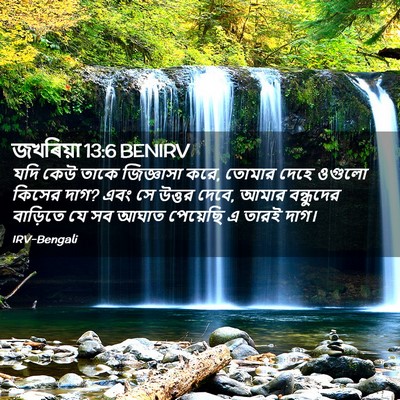 Picture 02 - জখৰিয়া 13:6 BENIRV - যদি কেউ তাকে - Bible Verse Picture