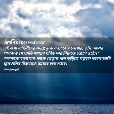 Picture 02 - জখৰিয়া 13:7 BENIRV - এই কথা বাহিনীদের - Bible Verse Picture