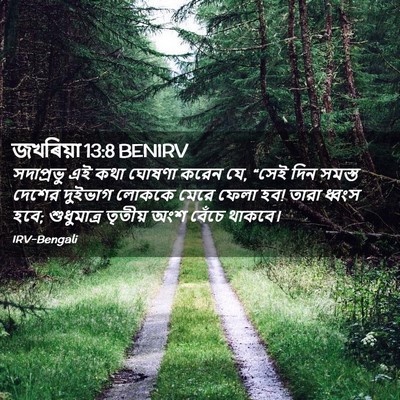 Picture 02 - জখৰিয়া 13:8 BENIRV - সদাপ্রভু এই কথা - Bible Verse Picture