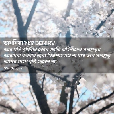 Picture 02 - জখৰিয়া 14:17 BENIRV - আর যদি পৃথিবীর কোন - Bible Verse Picture
