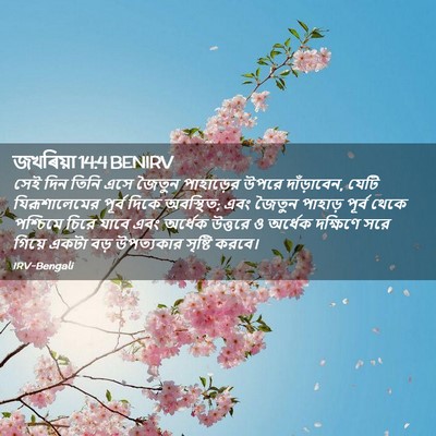 Picture 02 - জখৰিয়া 14:4 BENIRV - সেই দিন তিনি এসে - Bible Verse Picture