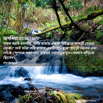 Picture 02 - জখৰিয়া 3:5 BENIRV - তখন আমি বললাম, - Bible Verse Picture