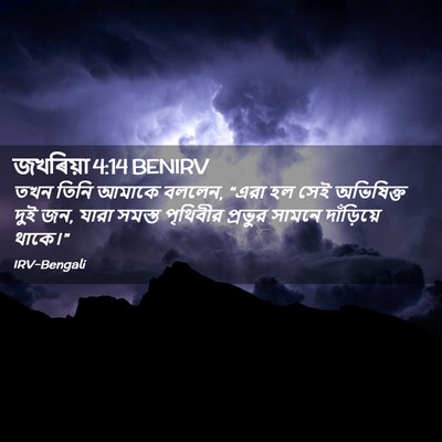 Picture 02 - জখৰিয়া 4:14 BENIRV - তখন তিনি আমাকে - Bible Verse Picture