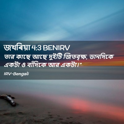 Picture 02 - জখৰিয়া 4:3 BENIRV - তার কাছে আছে দুইটি - Bible Verse Picture