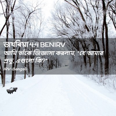 Picture 02 - জখৰিয়া 4:4 BENIRV - আমি তাঁকে - Bible Verse Picture