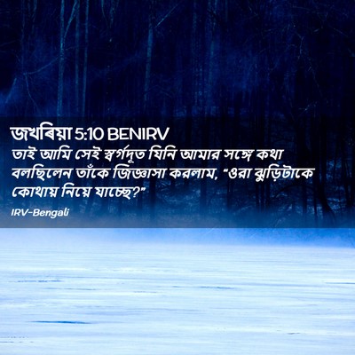 Picture 02 - জখৰিয়া 5:10 BENIRV - তাই আমি সেই - Bible Verse Picture